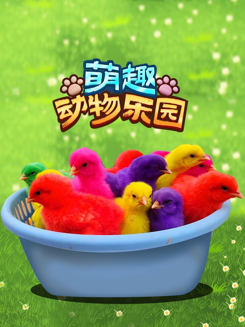 男人插入女人下生视频