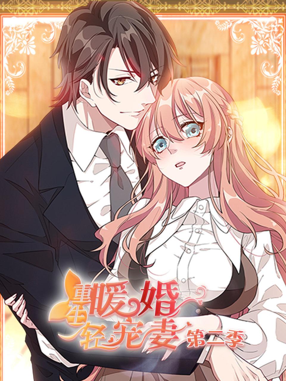 重生暖婚轻宠妻2