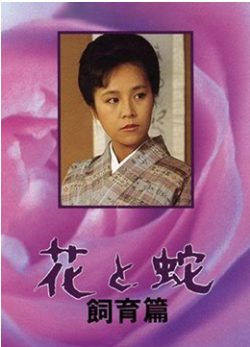 我的妻子三级片