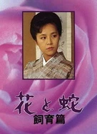 太医伦流澡到高潮H小说秦怡宁